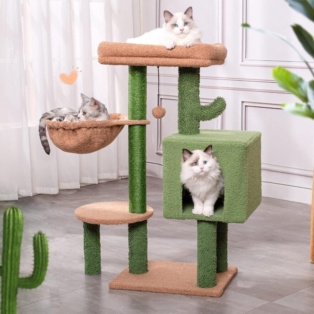 MeowSir Cactus Cat Tree 34 Inches Small Cat Tower with Top Perch, Comfy Hammock.